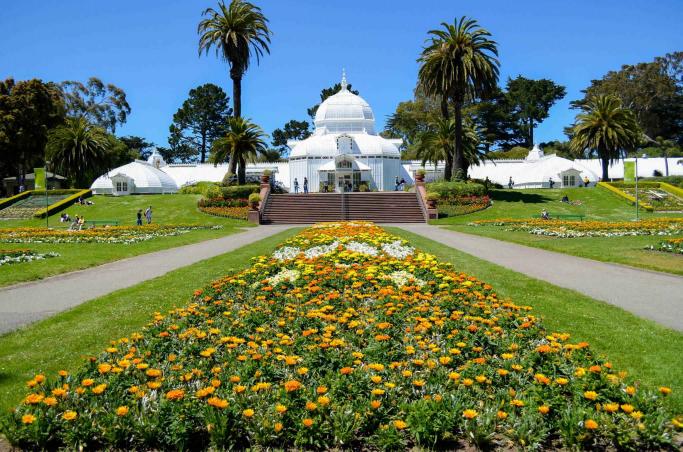 Golden Gate Park Tour