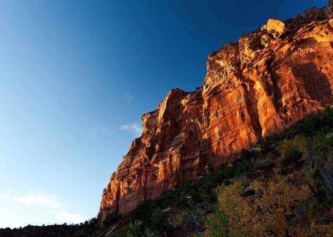 Zion National Park Tour