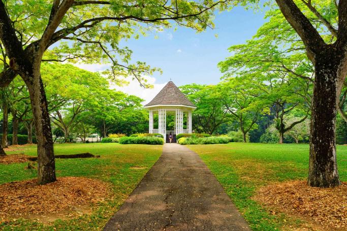 Singapore Botanic Gardens Tour