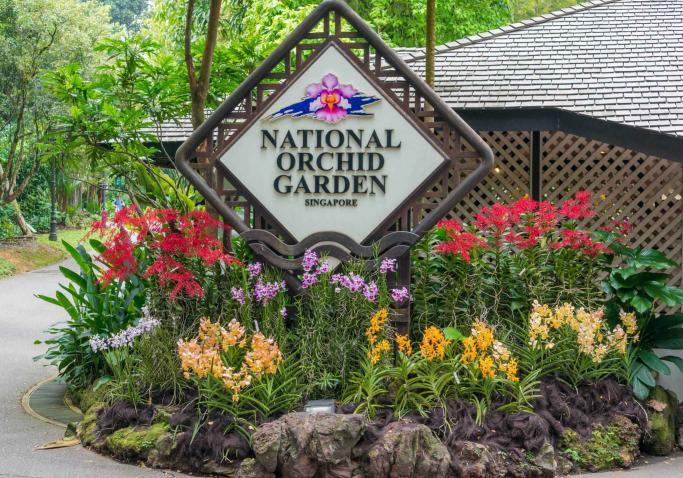 National Orchid Garden Tour
