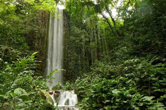 National Biodiversity Centre Tour