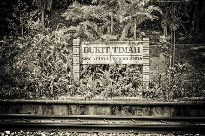 Bukit Timah Nature Reserve Tour