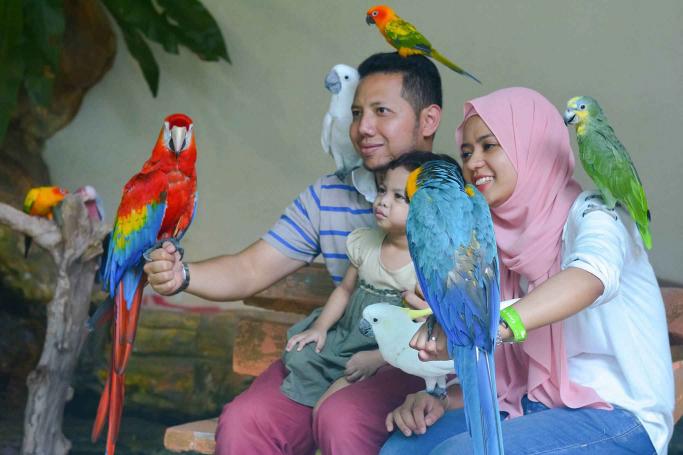 Kuala Lumpur Bird & Butterfly Park Tour