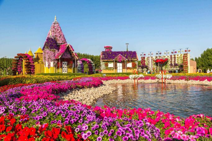 Dubai Miracle Garden Tour
