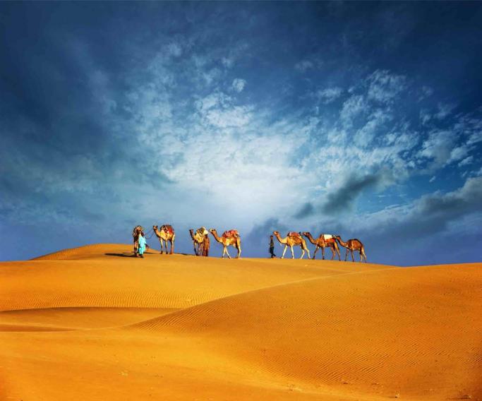 A Glimpse of Dubai Tour