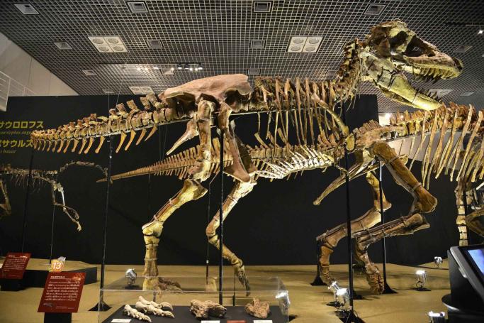 Tokyo National Museum Tour