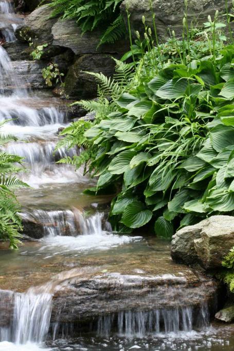 New York Botanical Garden Tour