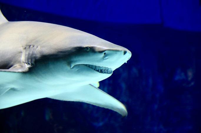 Aquarium de Paris - Cinéaqua Tour