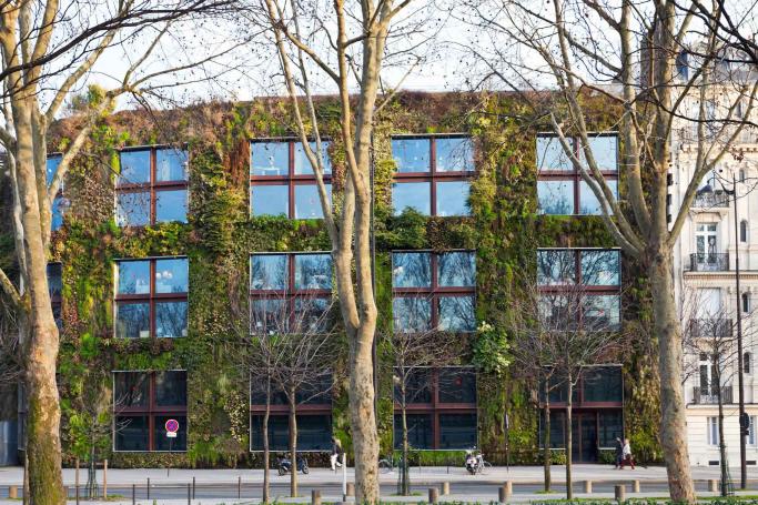 Musée du quai Branly Tour