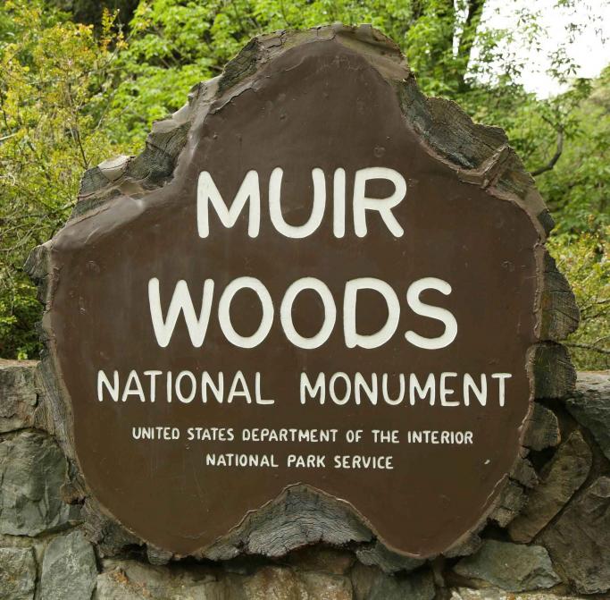 Muir Woods National Monument Tour