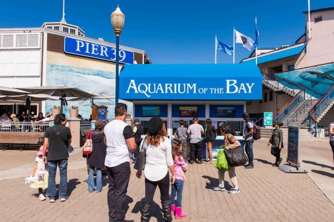 Aquarium of the Bay Tour