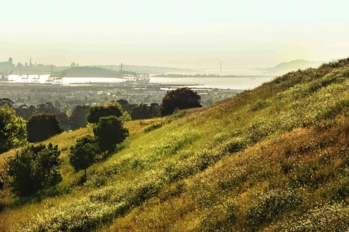 Indian Rock Park Tour