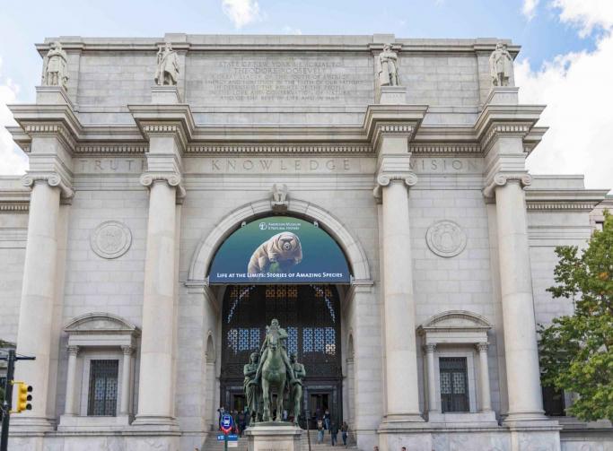 American Museum of Natural History Tour
